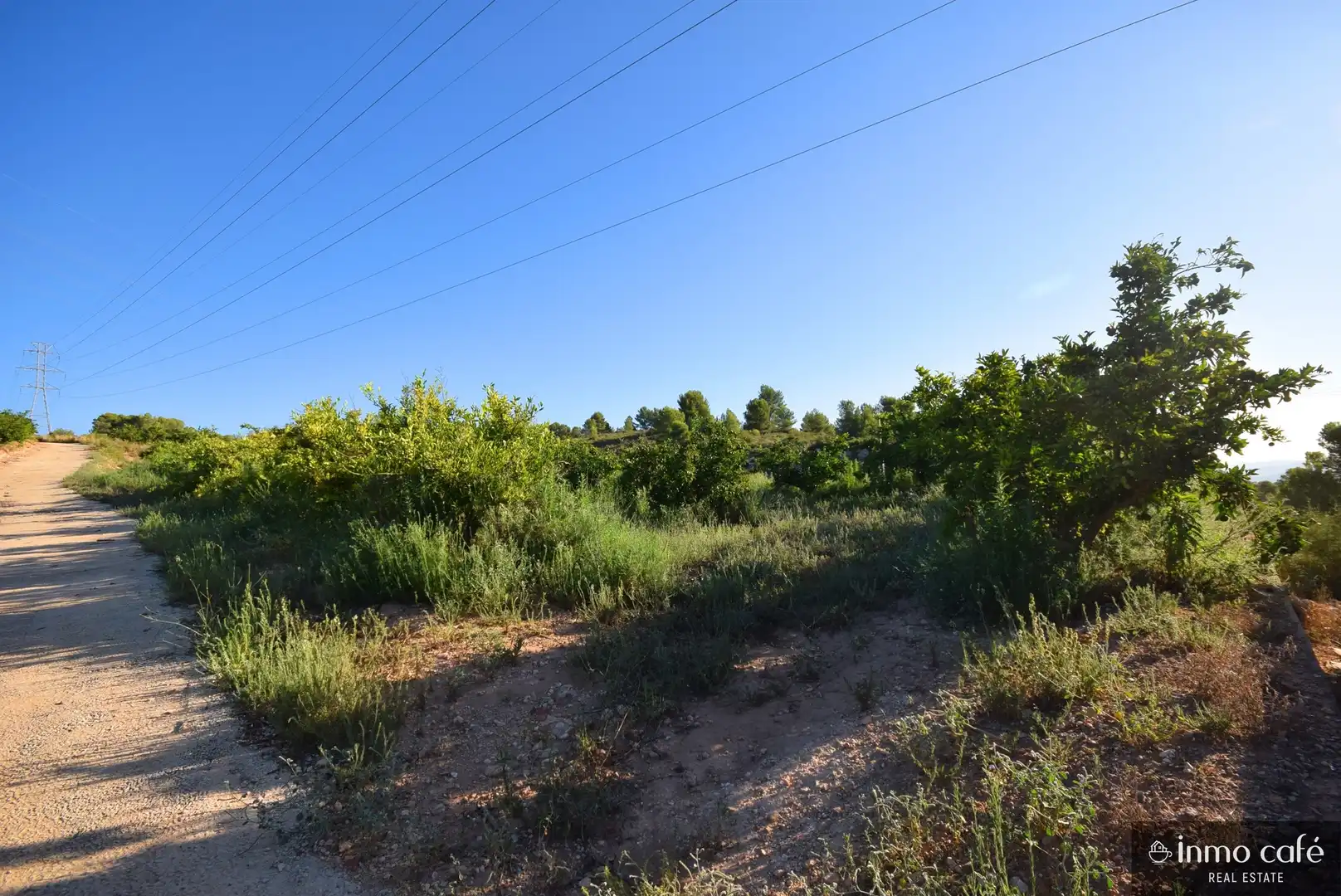 Terreny rústic en venda a L'Alcúdia de Crespins, imagen 5