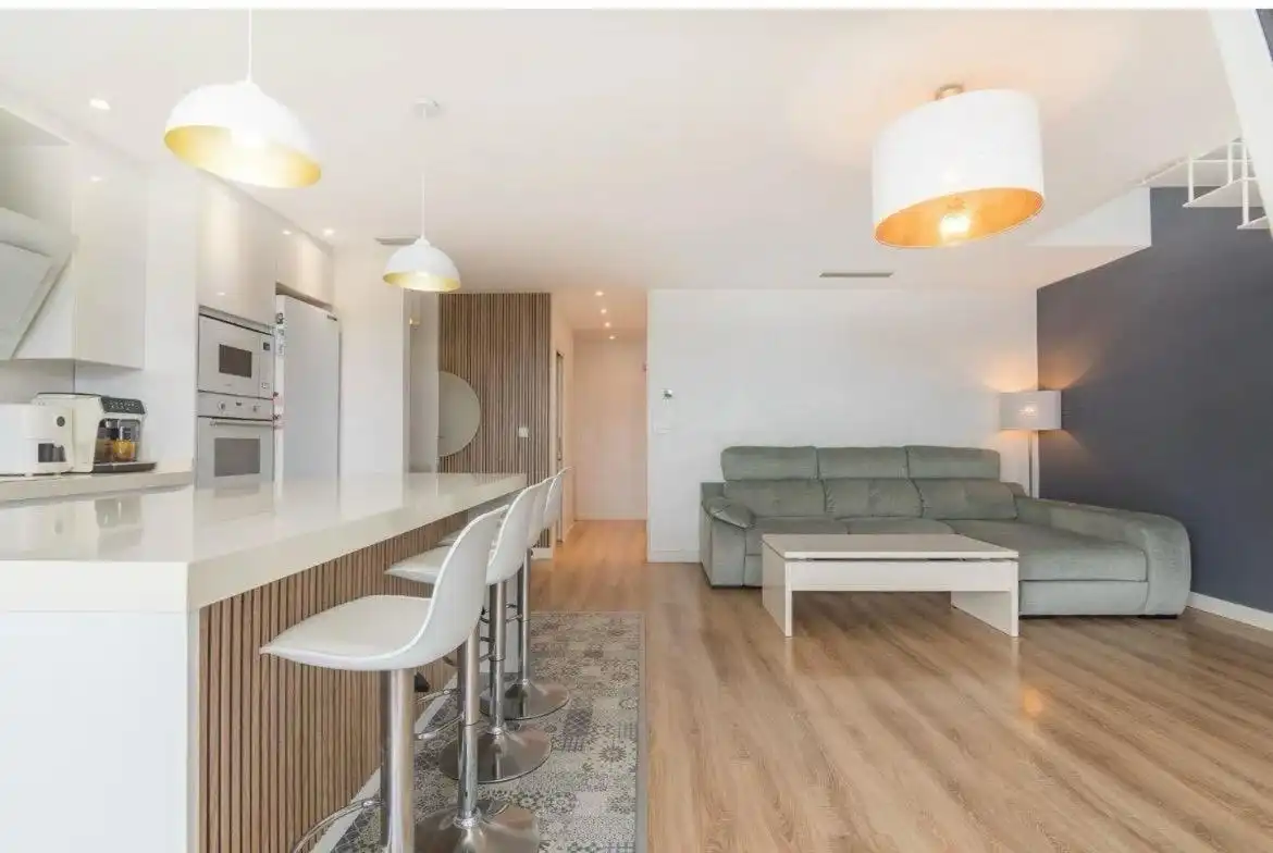 Living room of Attic for sale in Elche / Elx  with Air Conditioner, Private garden and Terrace