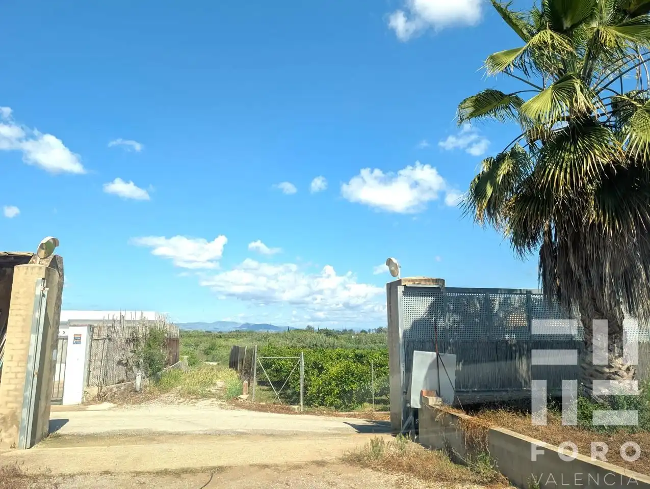 Vista exterior de Finca rústica en venta en Alzira con Jardín privado, Balcón y Internet