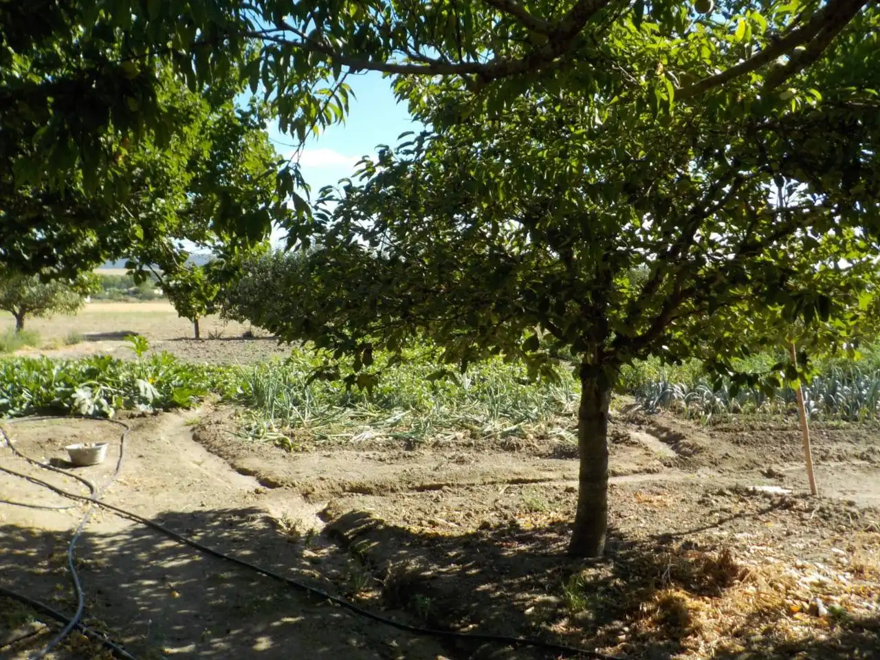 Detached house with garden for sale in Poligono 15, imagen 28
