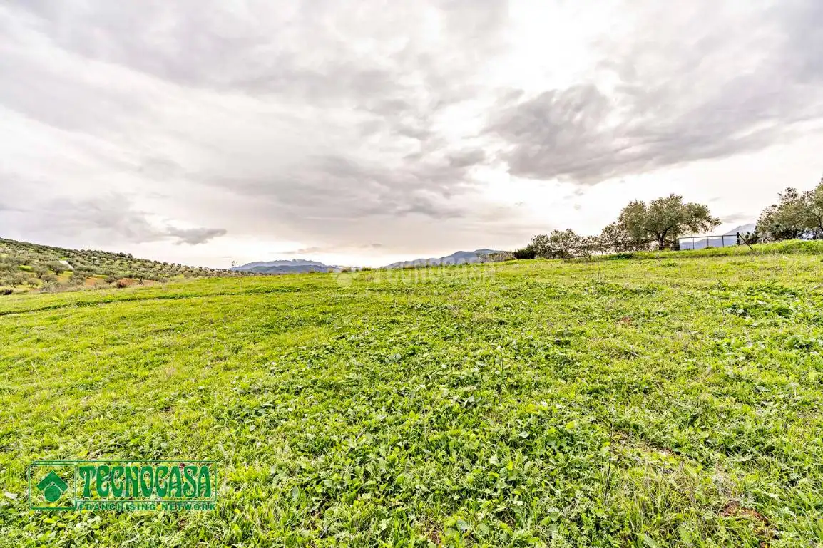 Rural land for sale in Alozaina, imagen 6