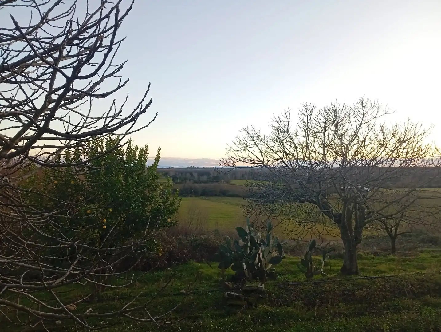 Land for sale in Losar de la Vera