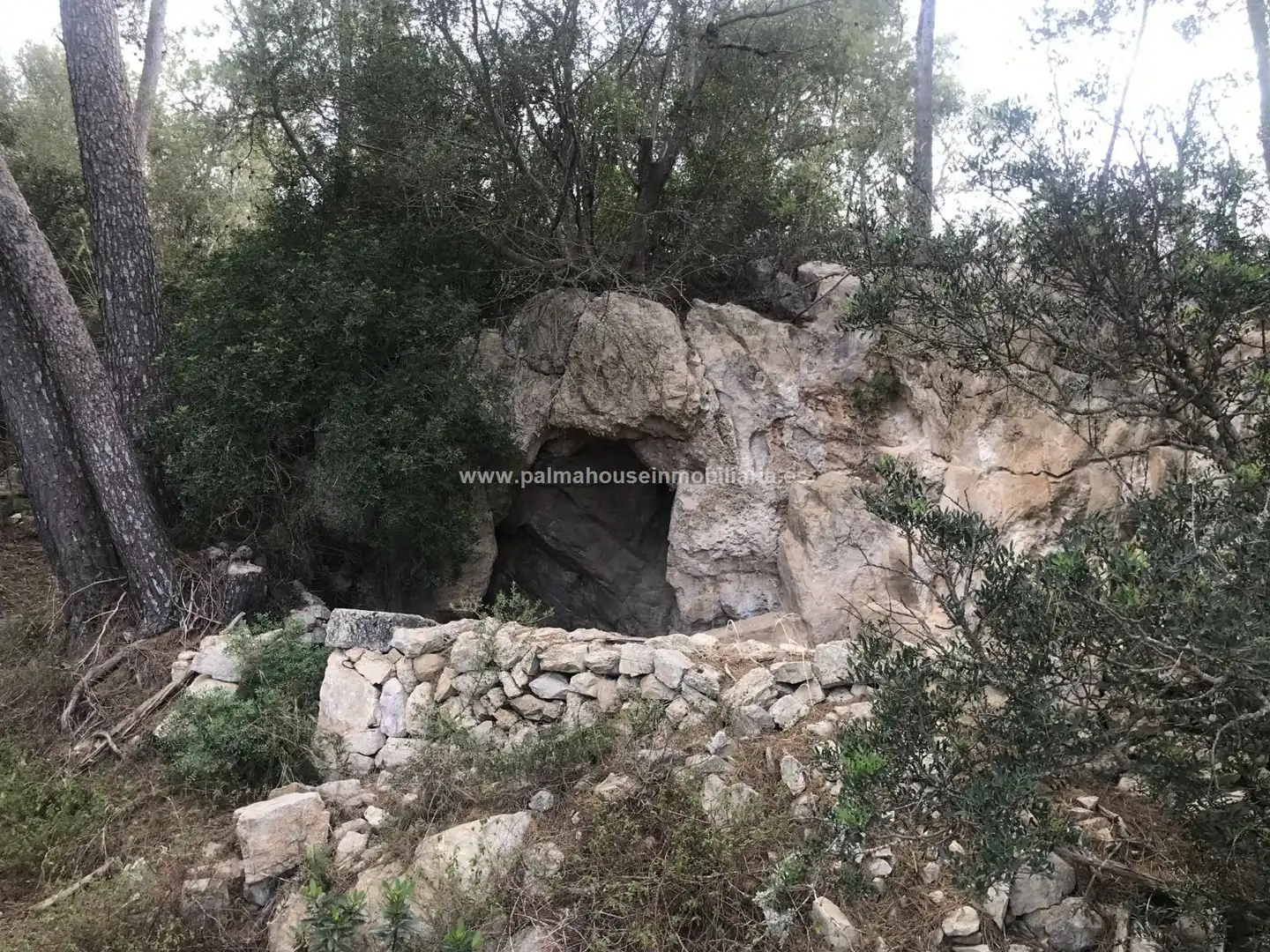 Finca rústica en venta en Maria de la Salut con Calefacción y Terraza
