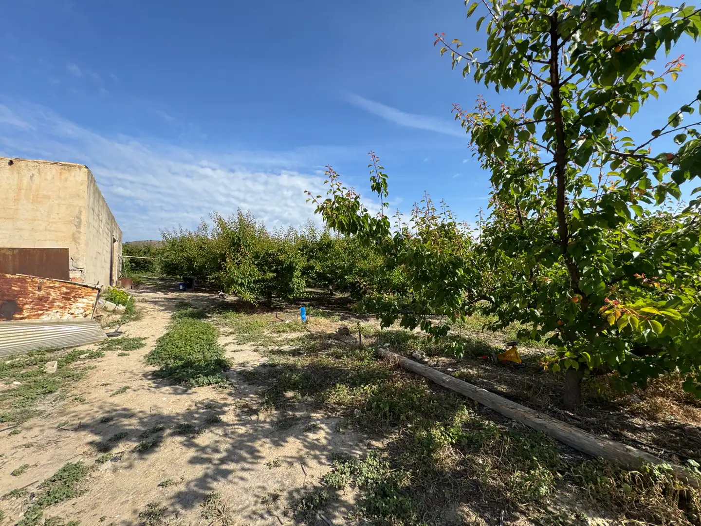 Terreno rustico in vendita a Calle 7.Canara 76, imagen 23