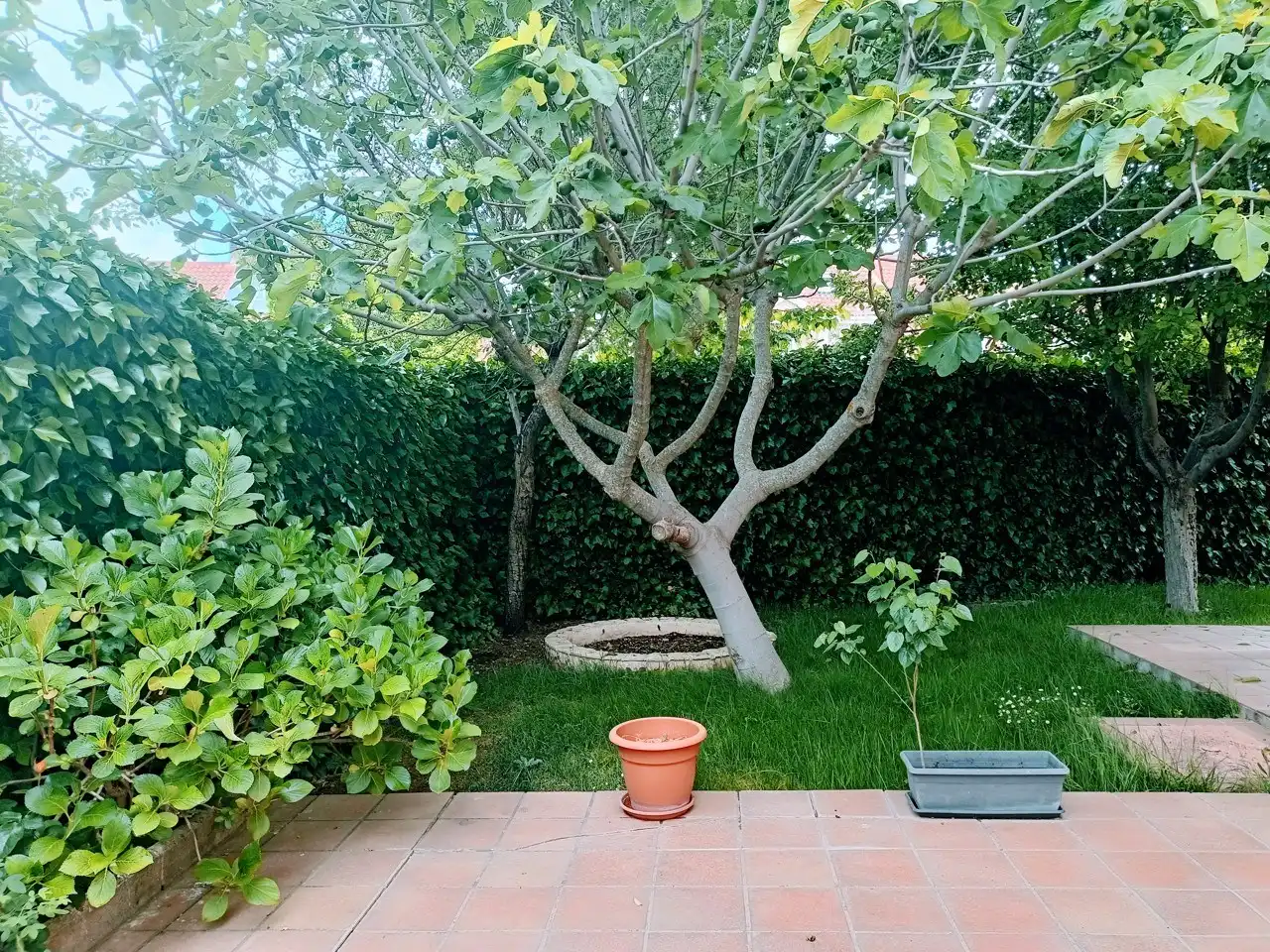 Jardí de Casa o xalet de lloguer en Villaviciosa de Odón amb Calefacció, Parquet i Forn