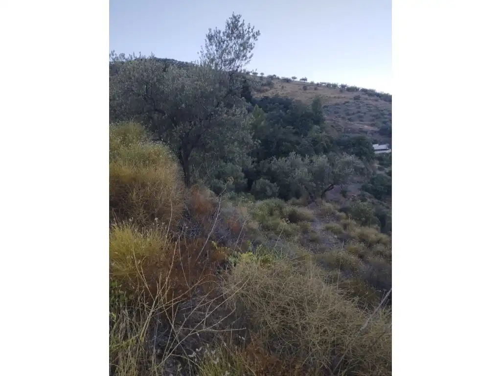 House for sale in Alcaucín, imagen 10