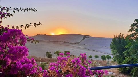 Foto 3 de Finca rústica en venta en Morón de la Frontera, Sevilla