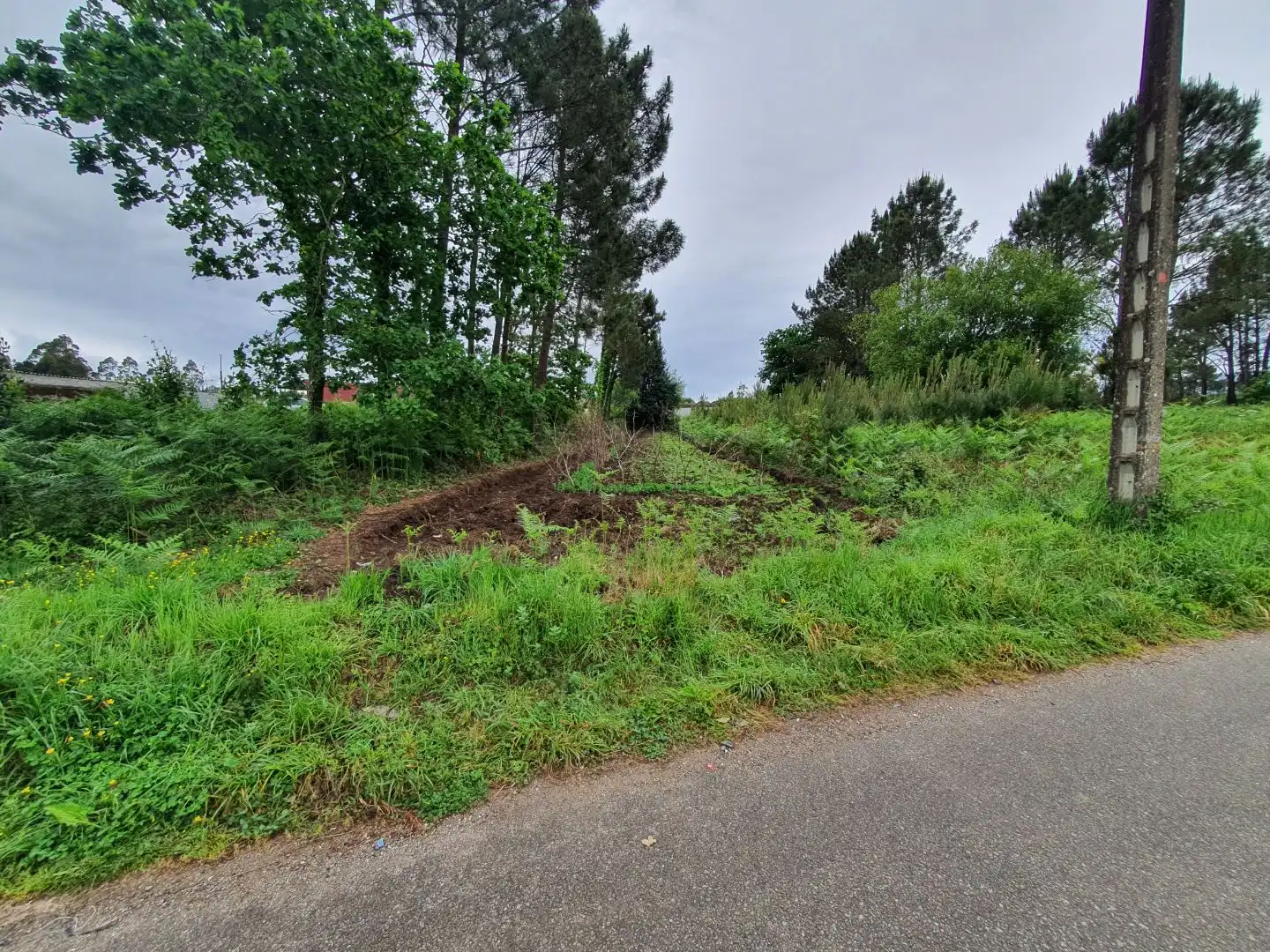 Maison avec jardin à vendre à Lugar Ponte 40, imagen 11