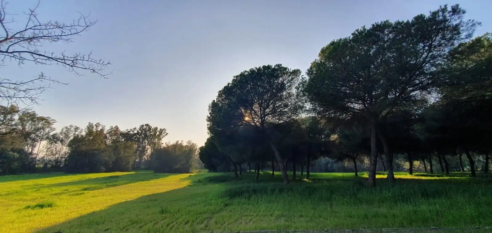 Terreni e lotti in vendita a La Puebla del Río, imagen 13
