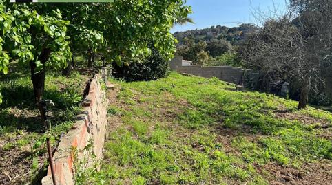 Foto 4 de Casa o chalet de alquiler en Lloret Verd - Els Pinars, Girona