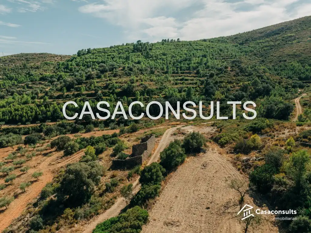 Casa rustica con giardino in vendita a Useras /  Les Useres, imagen 9