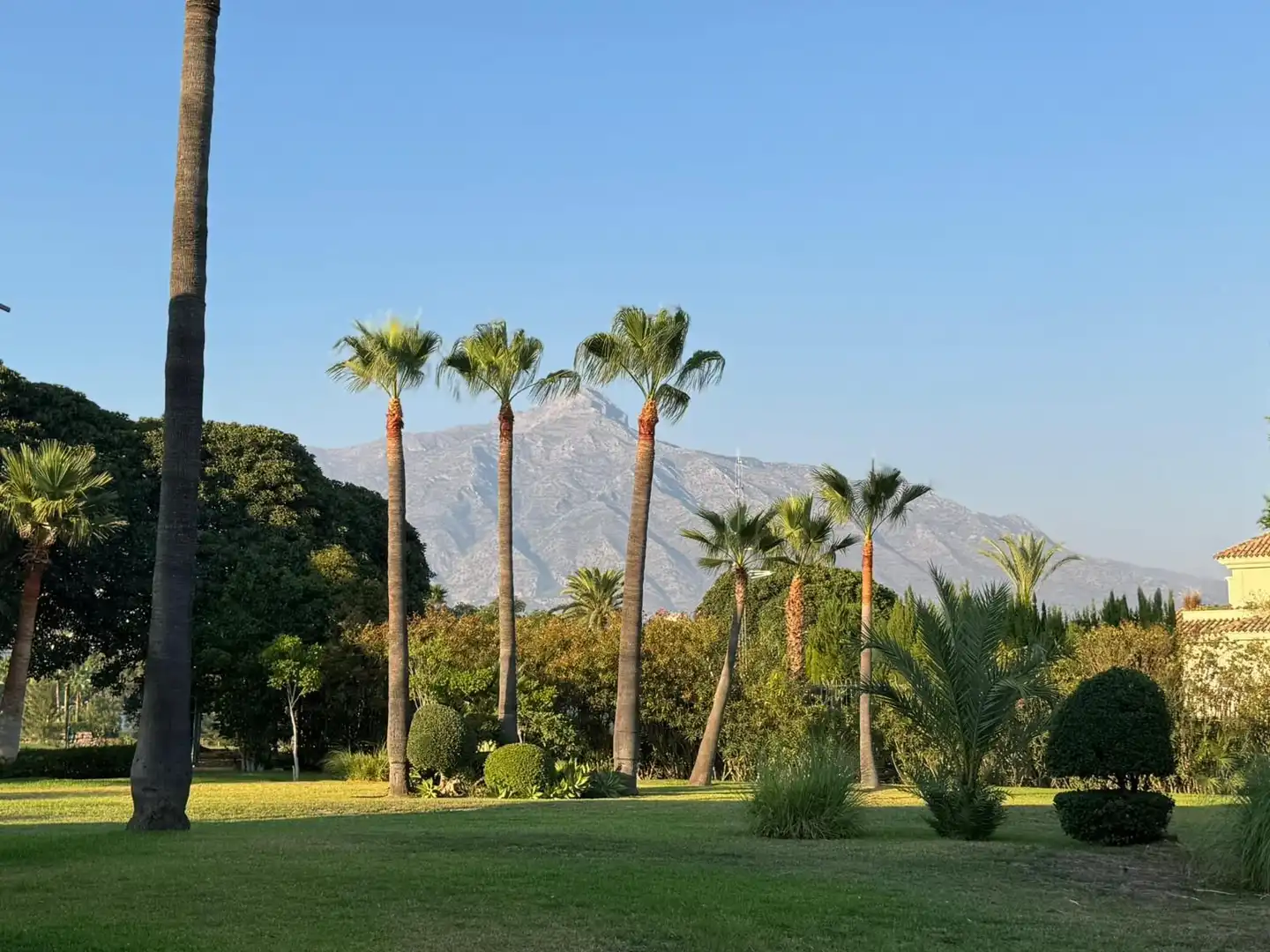 Jardín de Dúplex en venta en Marbella con Aire acondicionado, Terraza y Amueblado