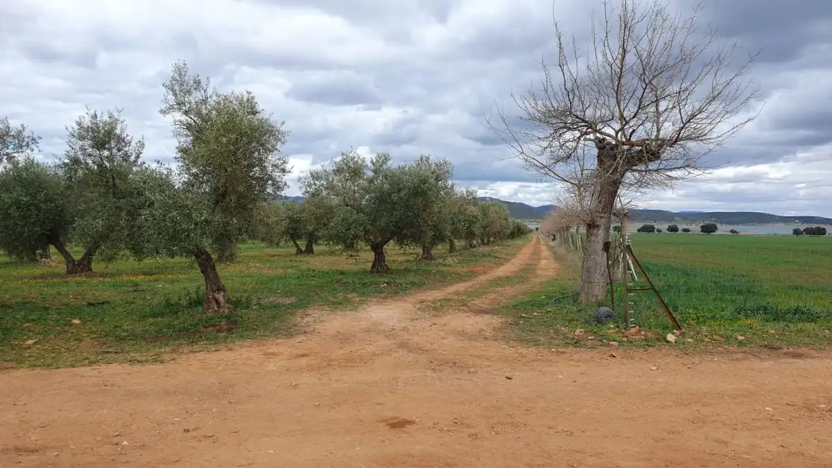 Finca rústica en venda a Área Rural-Valverde-Las Casas