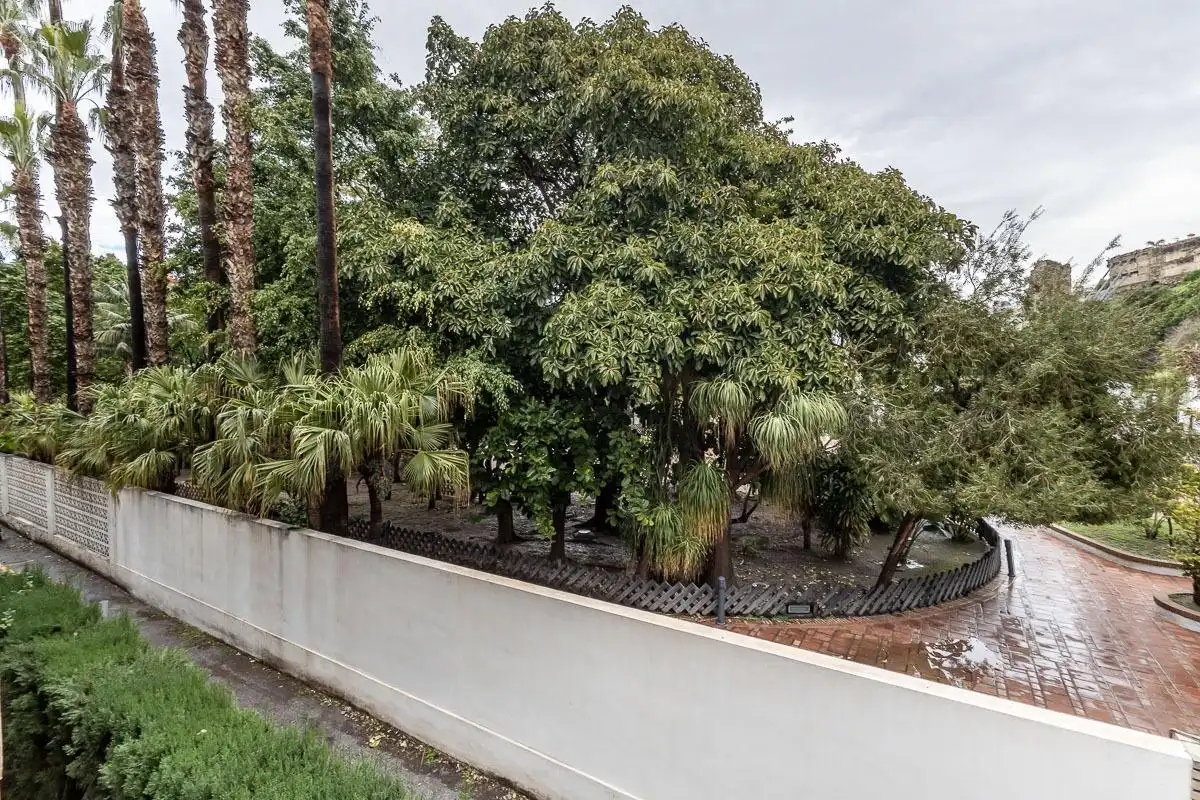 Exterior view of Flat for sale in Almuñécar  with Terrace and Balcony