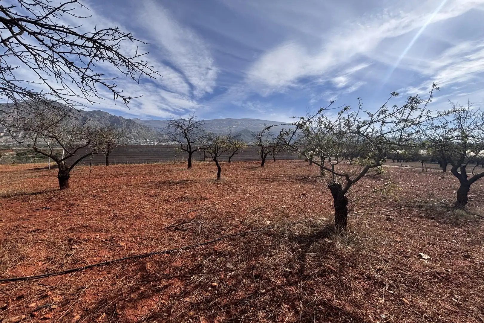 Rural land for sale in Nigüelas, imagen 5