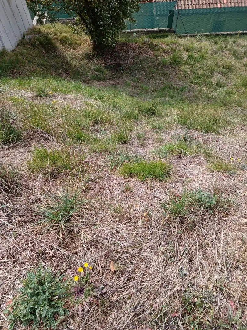 Wohnbaugrundstück zum Verkauf in Sant Celoni, imagen 6