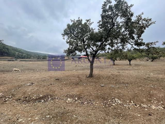 Casa-chalet en Venta en Poligono 3 Paraje 102 Solana De Arriba en Madroñera