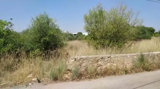 Terreno rustico in vendita a C/ Montanejos, imagen 6