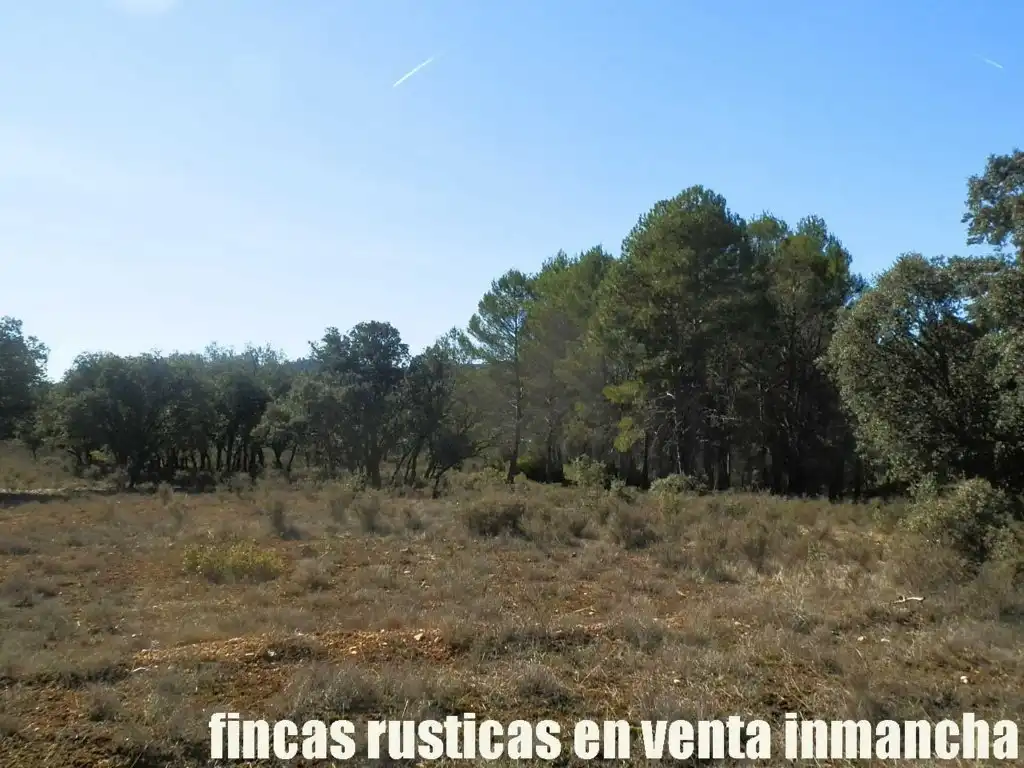 Land for sale in Valdeolivas