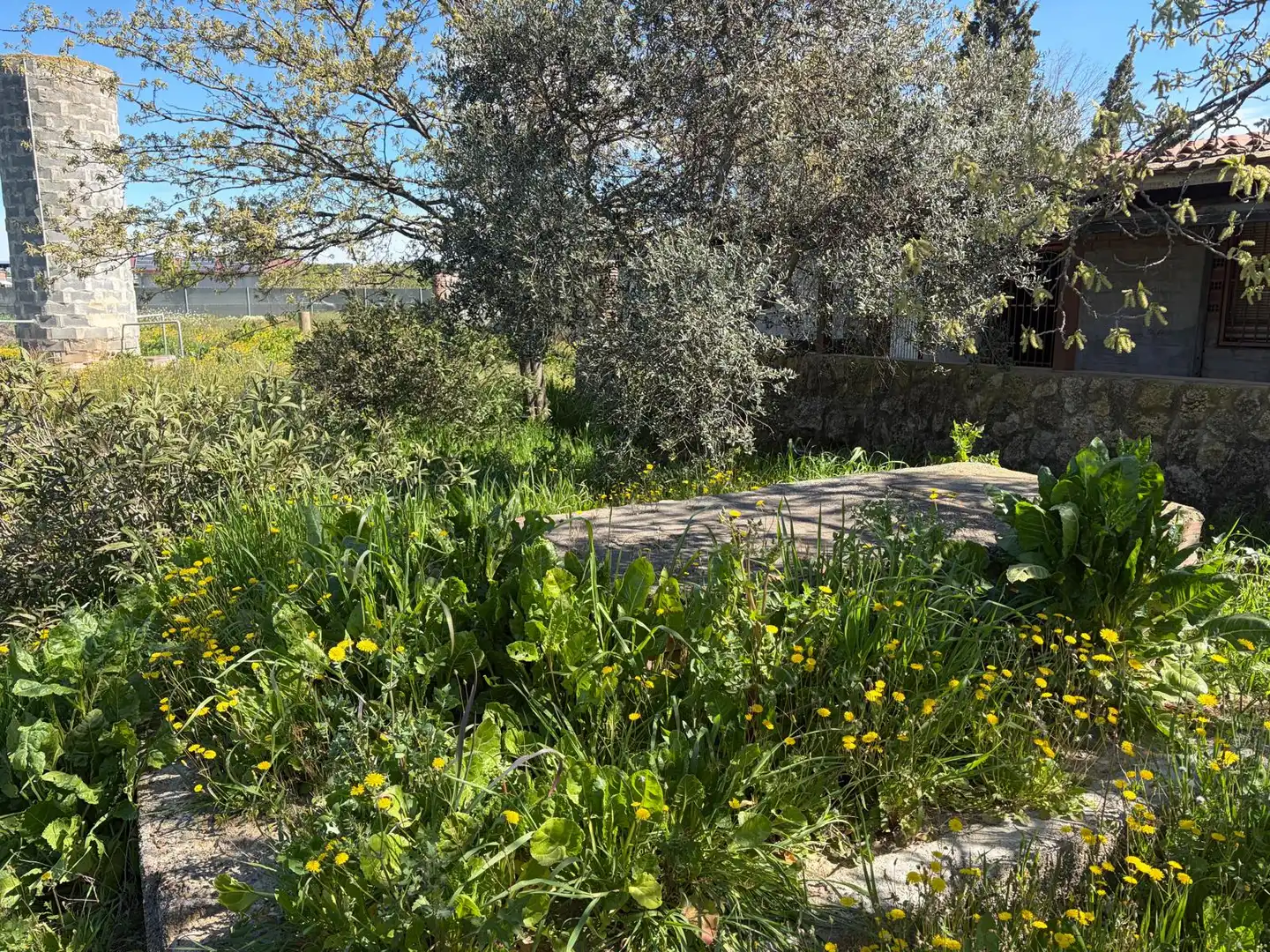 Casa o xalet en venda en Alcoletge