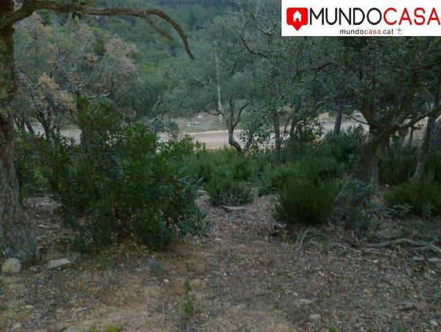 Terreno residencial en Venta en Mas Baell - Can Carbó