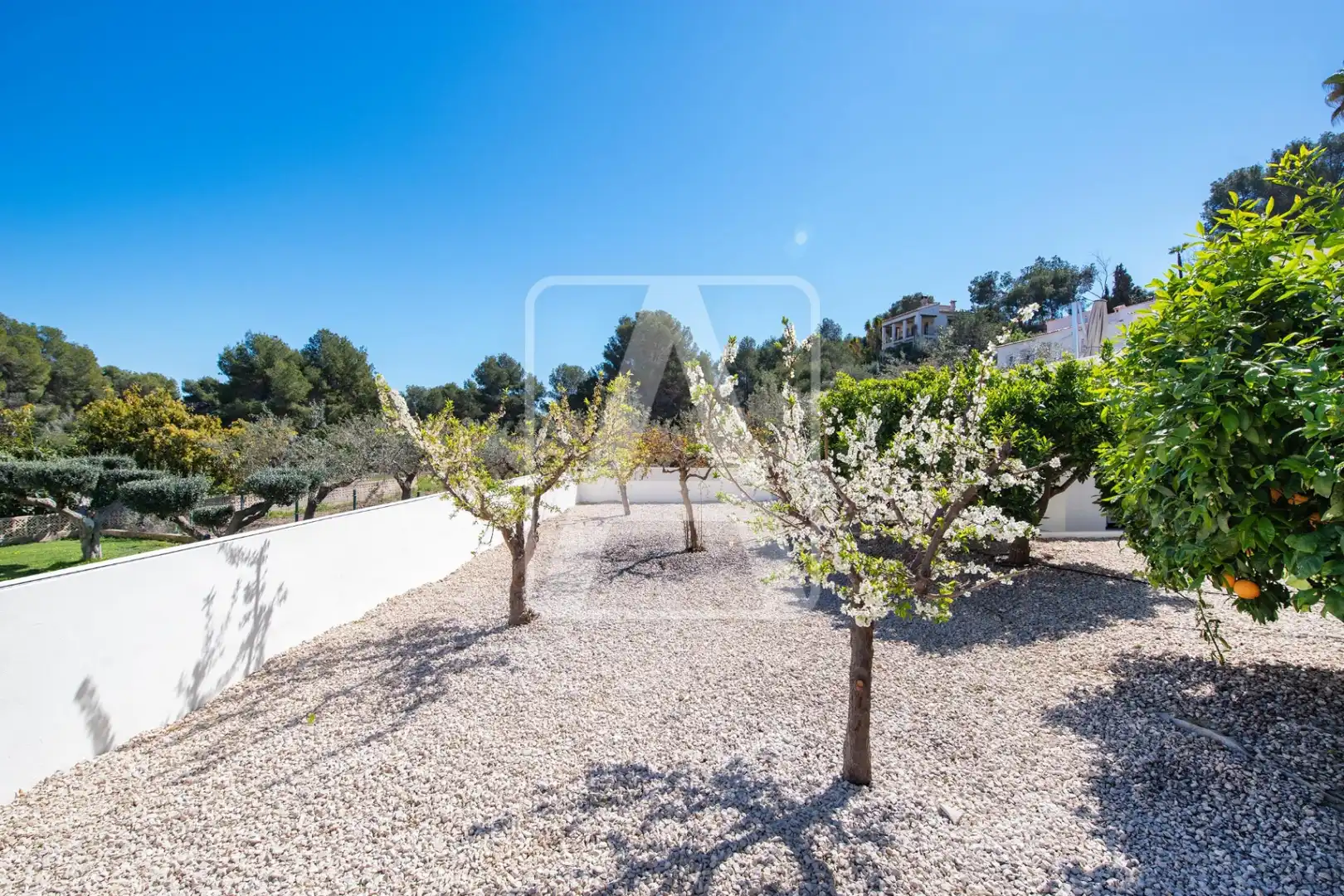 Villa con piscina in vendita a Cala Advocat - Baladrar, imagen 16