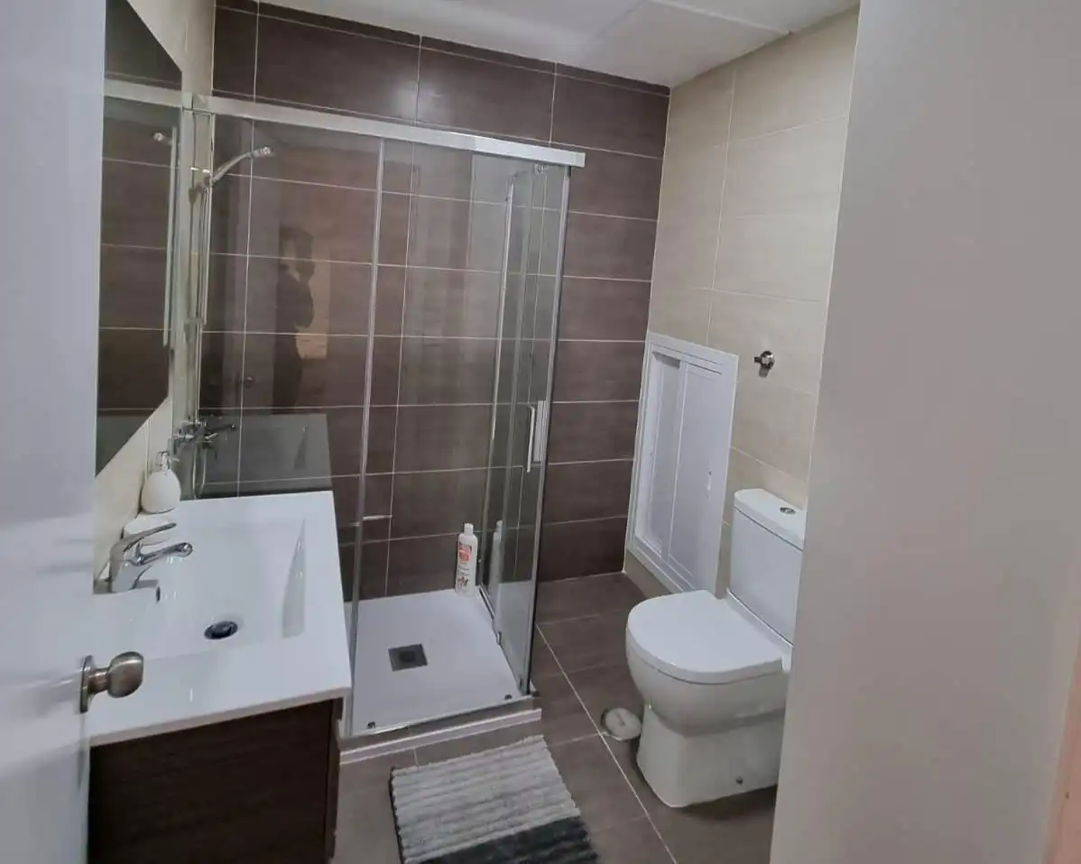 Bathroom of Apartments for share in A Ponte