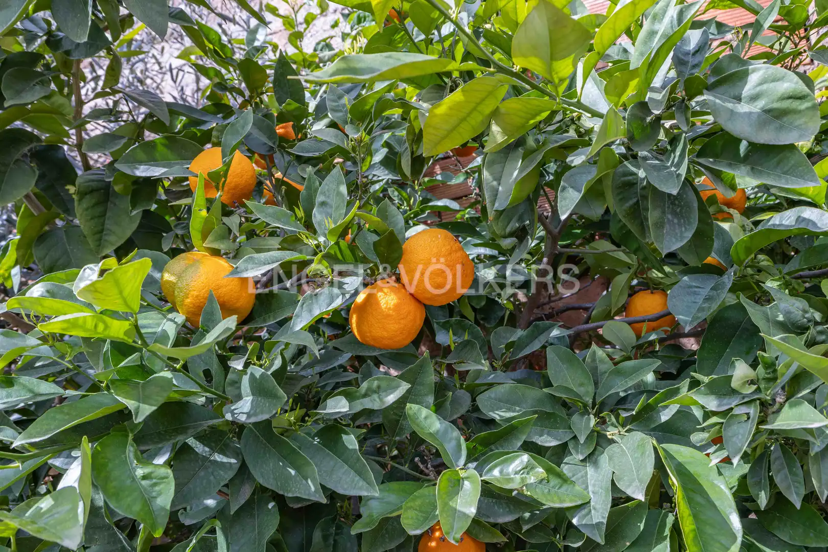 Casa amb jardí en venda a La Miranda, imagen 12