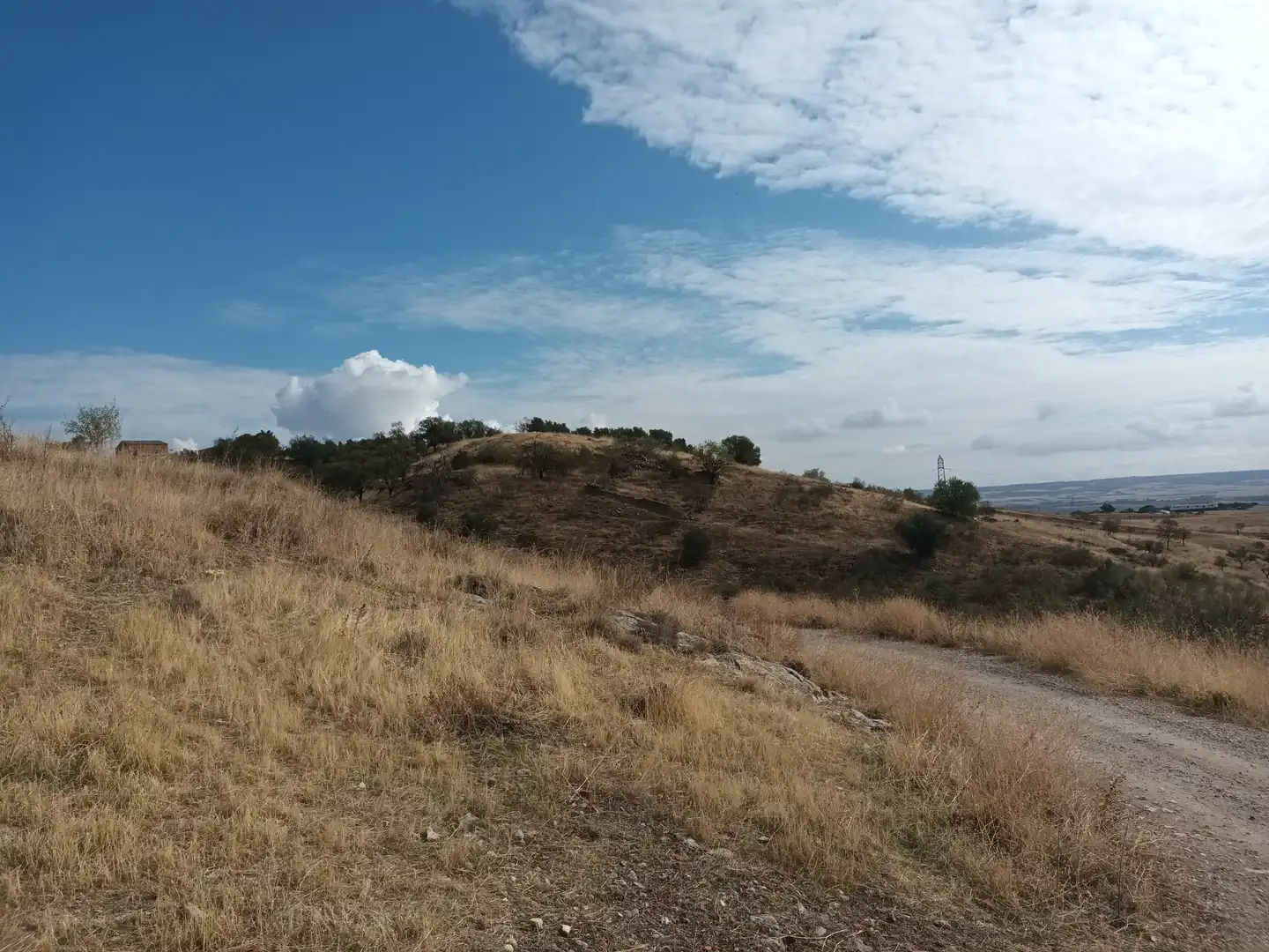 Terreny residencial en venda a Poligono 16-Rustica, imagen 3