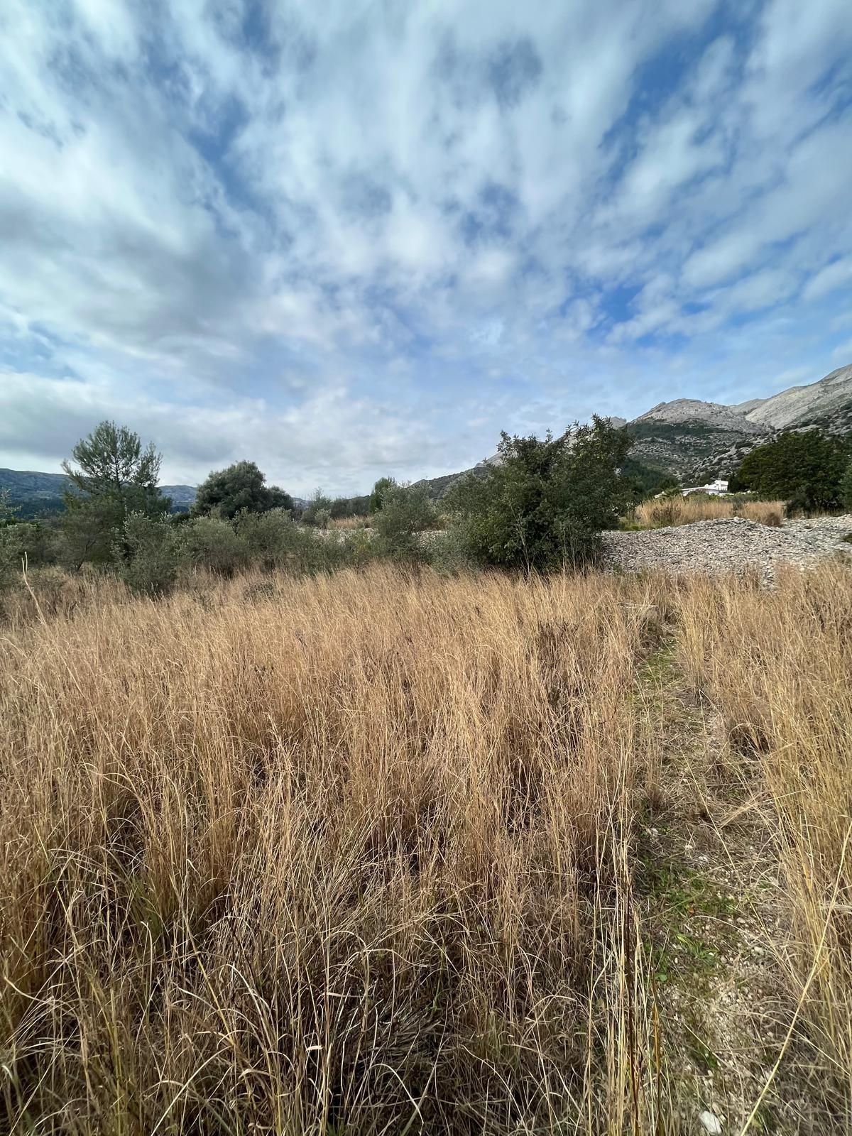 Land for sale in Tormos