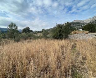 Land for sale in Tormos