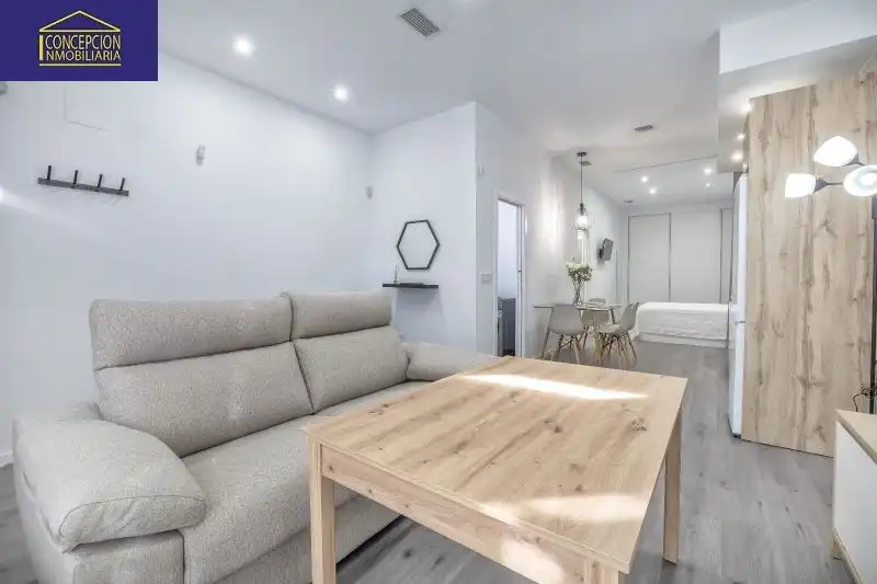 Loft in affitto a Noroeste, imagen 2