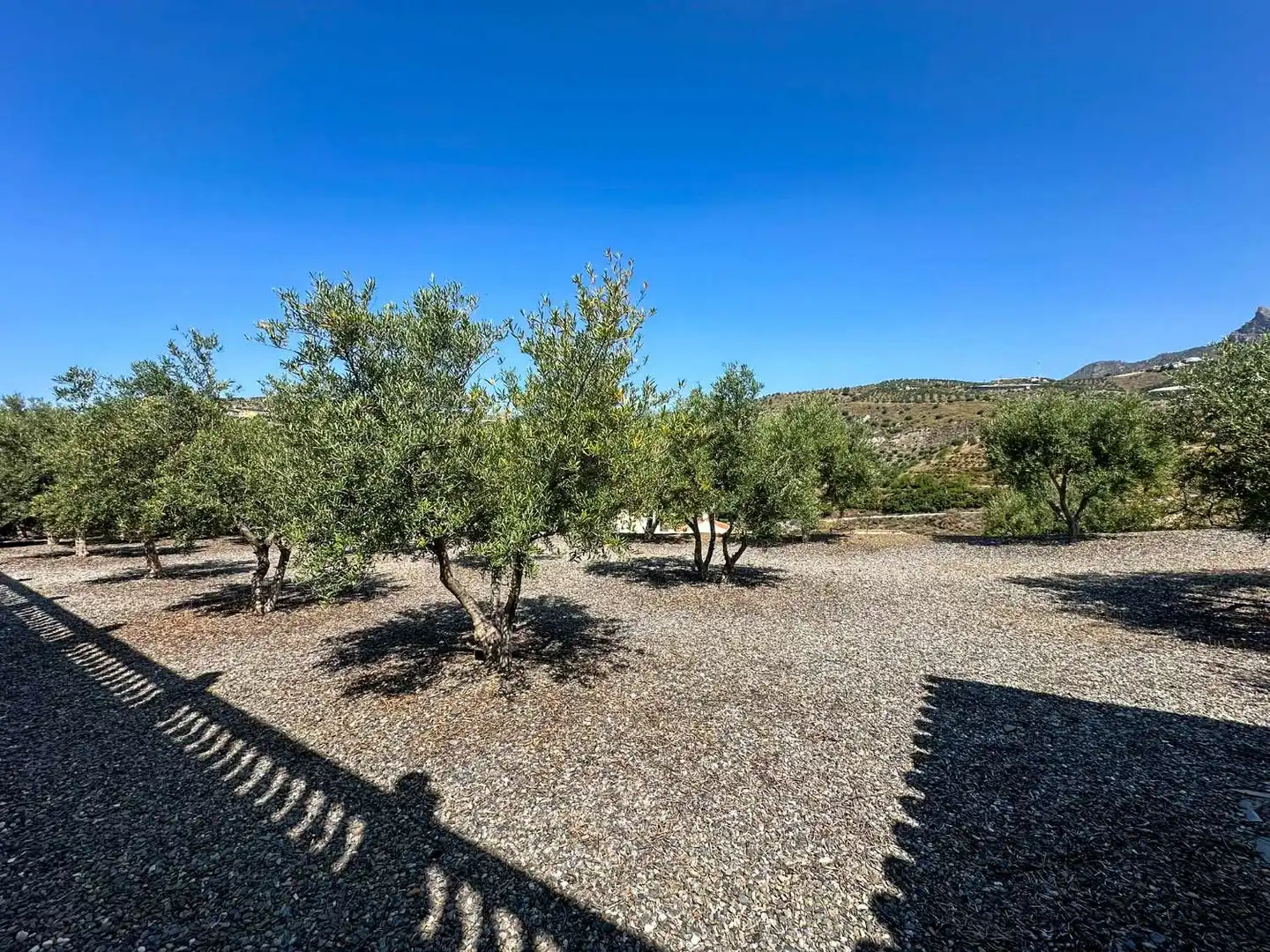 Jardín de Casa o chalet en venta en Ítrabo con Aire acondicionado, Calefacción y Trastero