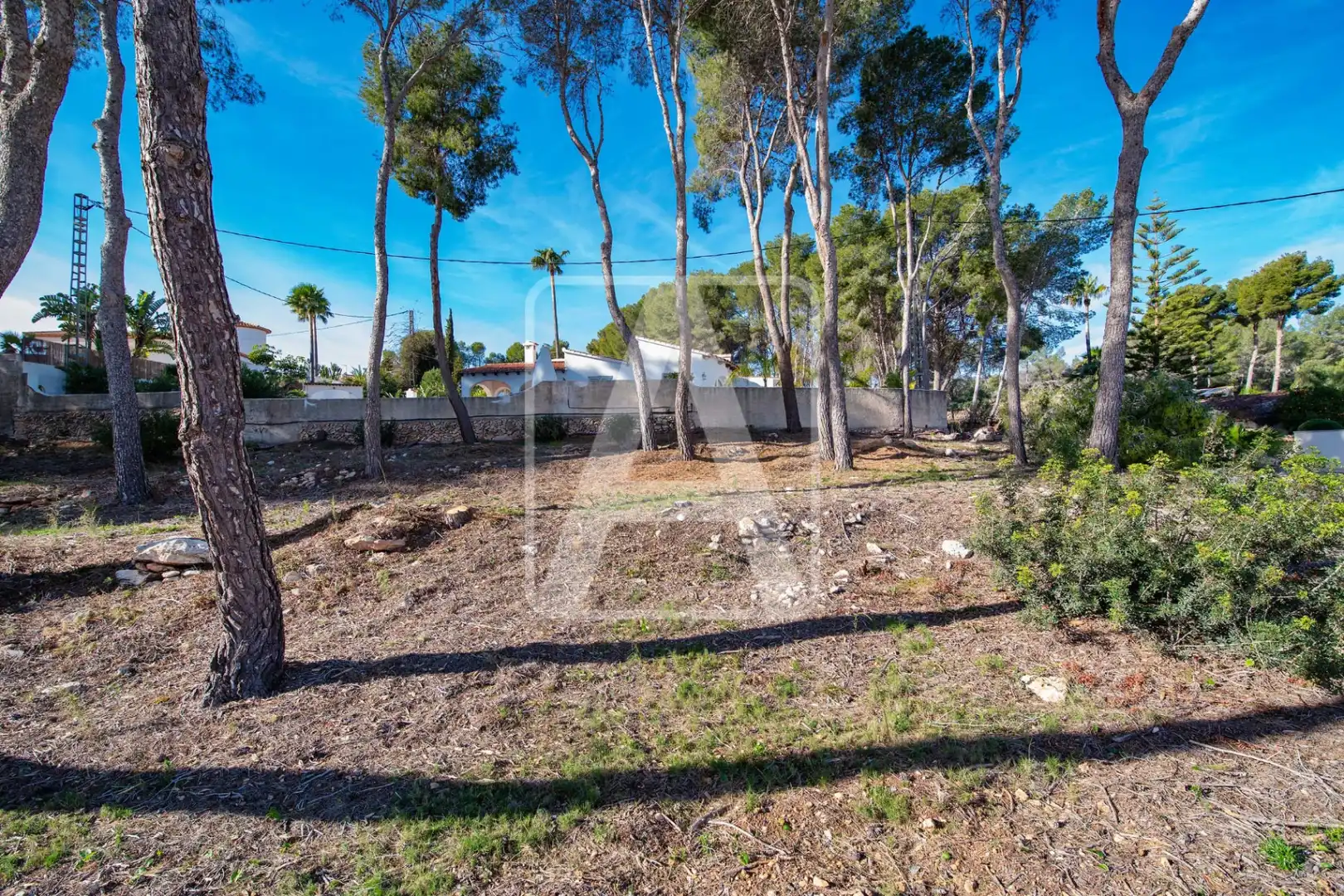 Villa con piscina in vendita a Cala Advocat - Baladrar, imagen 13