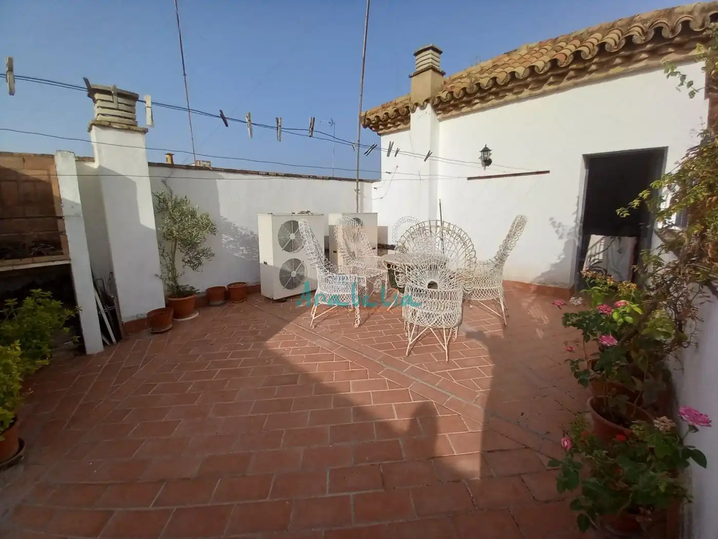 House with pool for sale in Centro, imagen 19