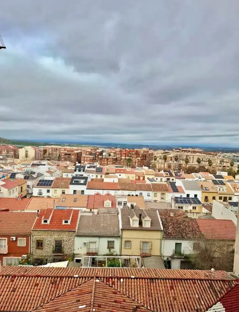 Piso con terraza en venta en Avenida de Andalucía