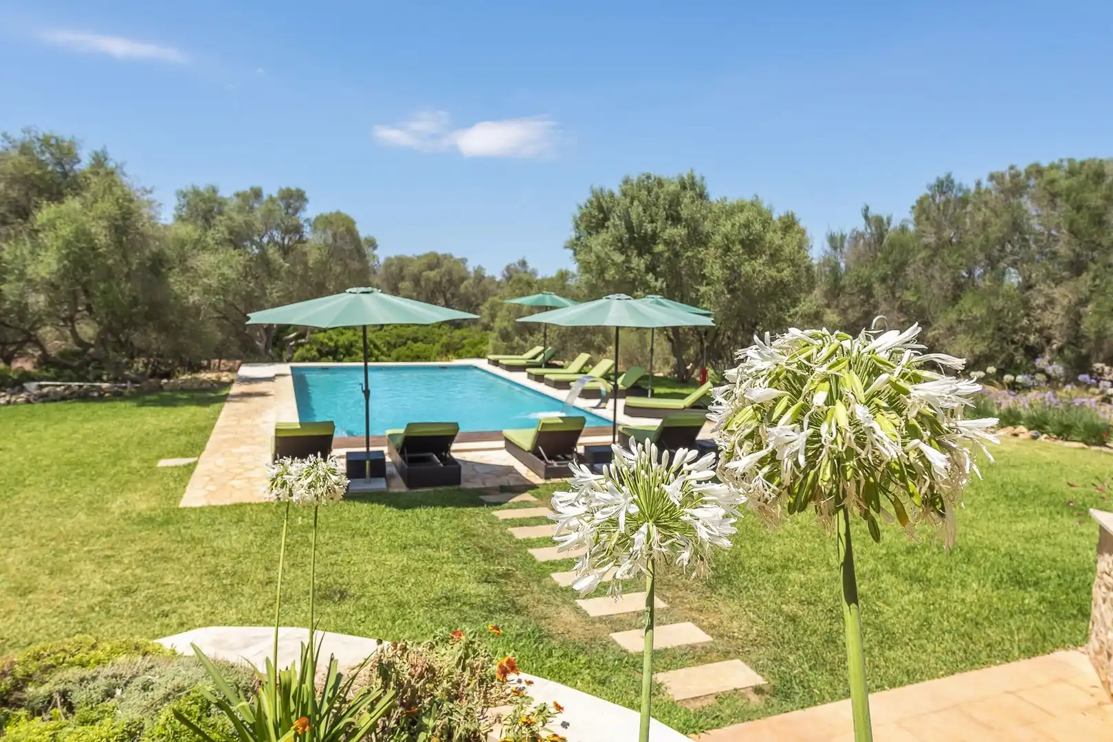 Swimming pool of Houses for rent in Felanitx