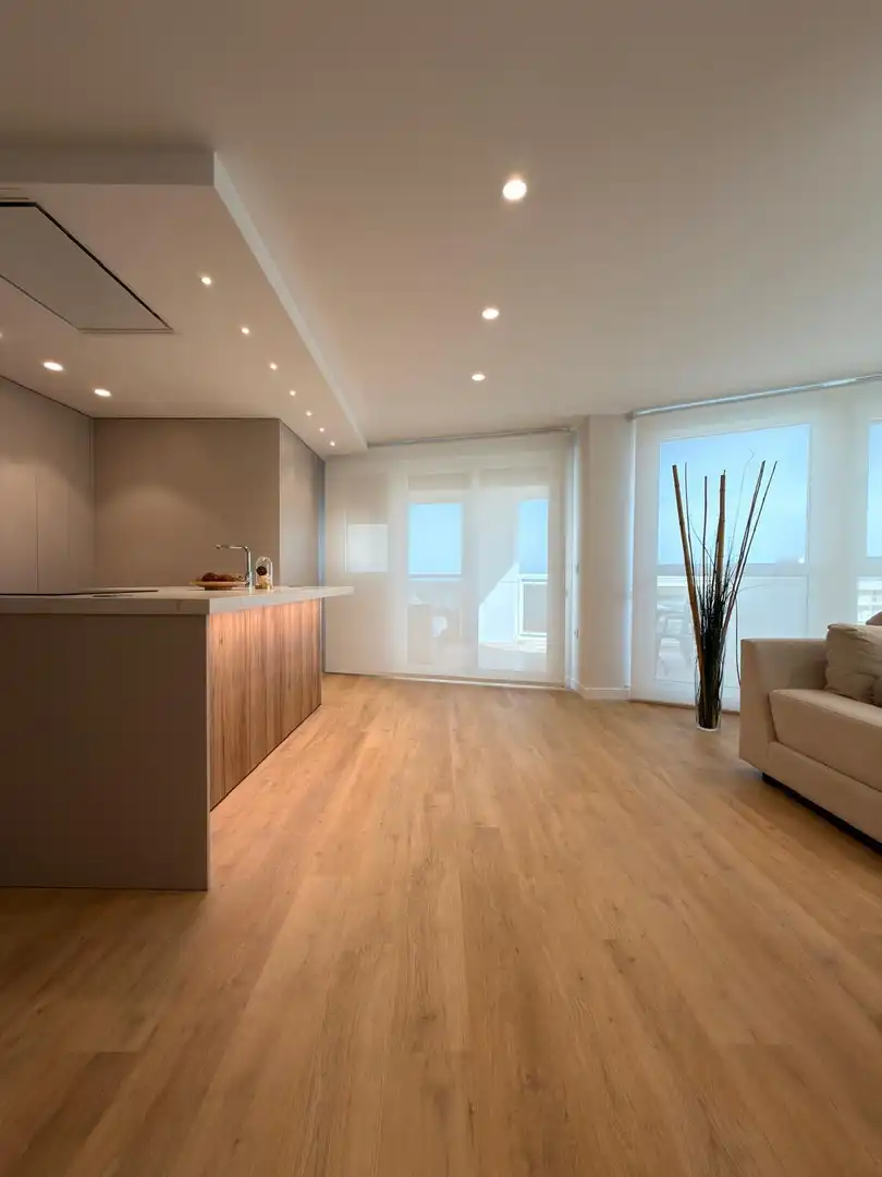 Living room of Flat for rent in Alicante / Alacant  with Air Conditioner, Private garden and Terrace