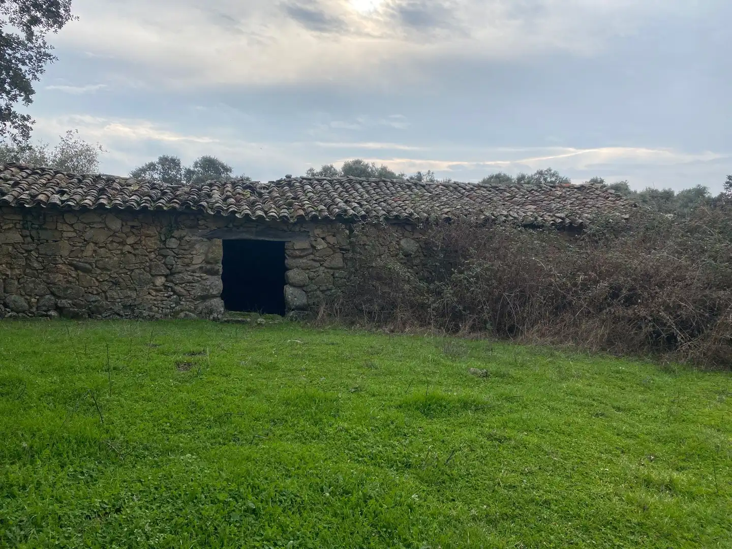 Terreni e lotti in vendita a Navamorcuende, imagen 10