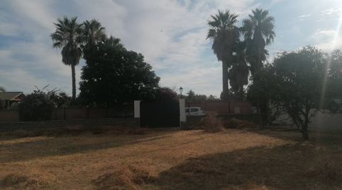 Foto 2 de Casa o xalet en venda a Camposol, Carmona, Sevilla