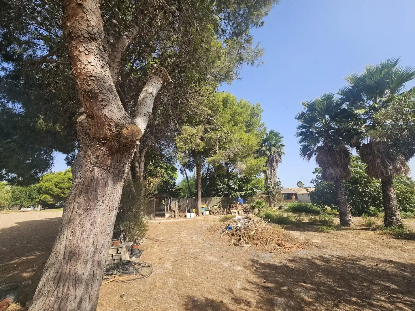 Casa con jardín en venta en Dolores, imagen 31