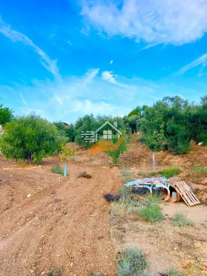 Maison rustique à vendre à Vélez-Rubio, imagen 47