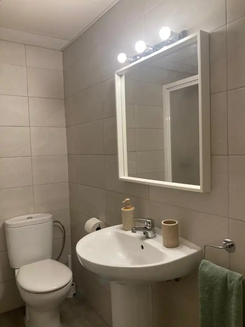 Bathroom of Apartments for rent in Sevilla  with Air Conditioner, Heating and Furnished