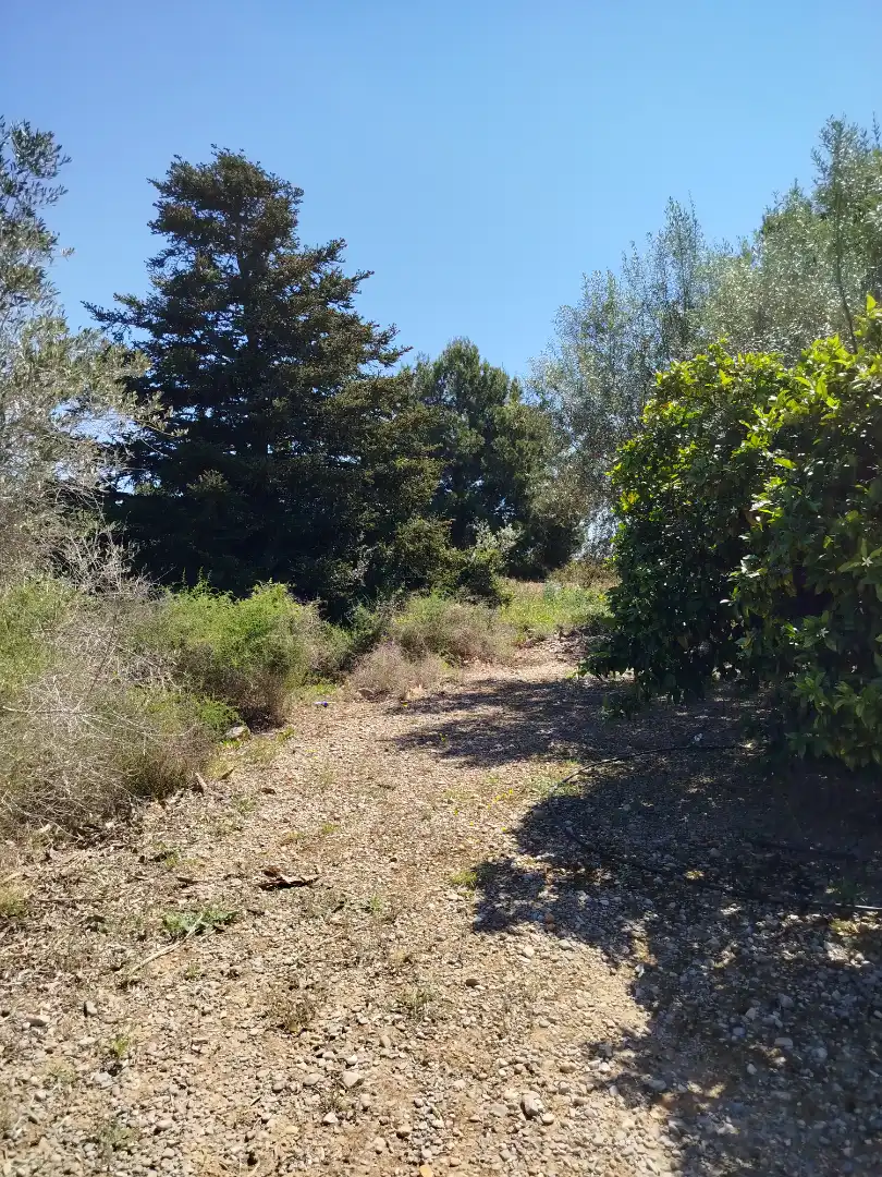 Terreno residencial en venta en Pueblo, imagen 57