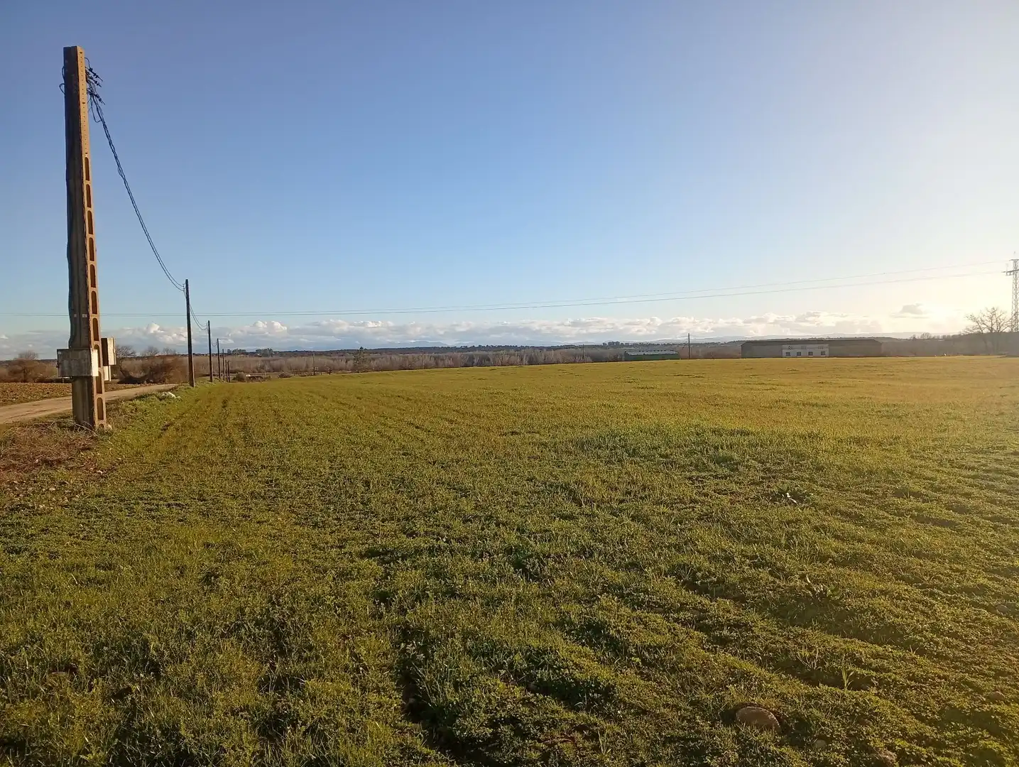 Land for sale in Losar de la Vera