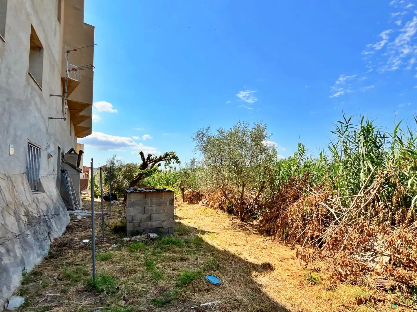 Maison à vendre à Jesús - Els Reguers, imagen 58