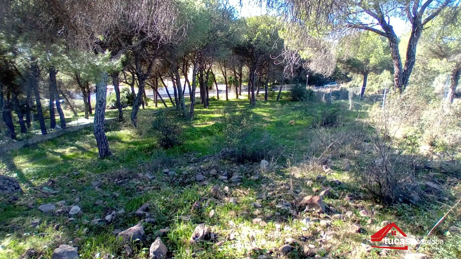 Wohnbaugrundstück zum Verkauf in Periurbano Este - Campiña, imagen 7