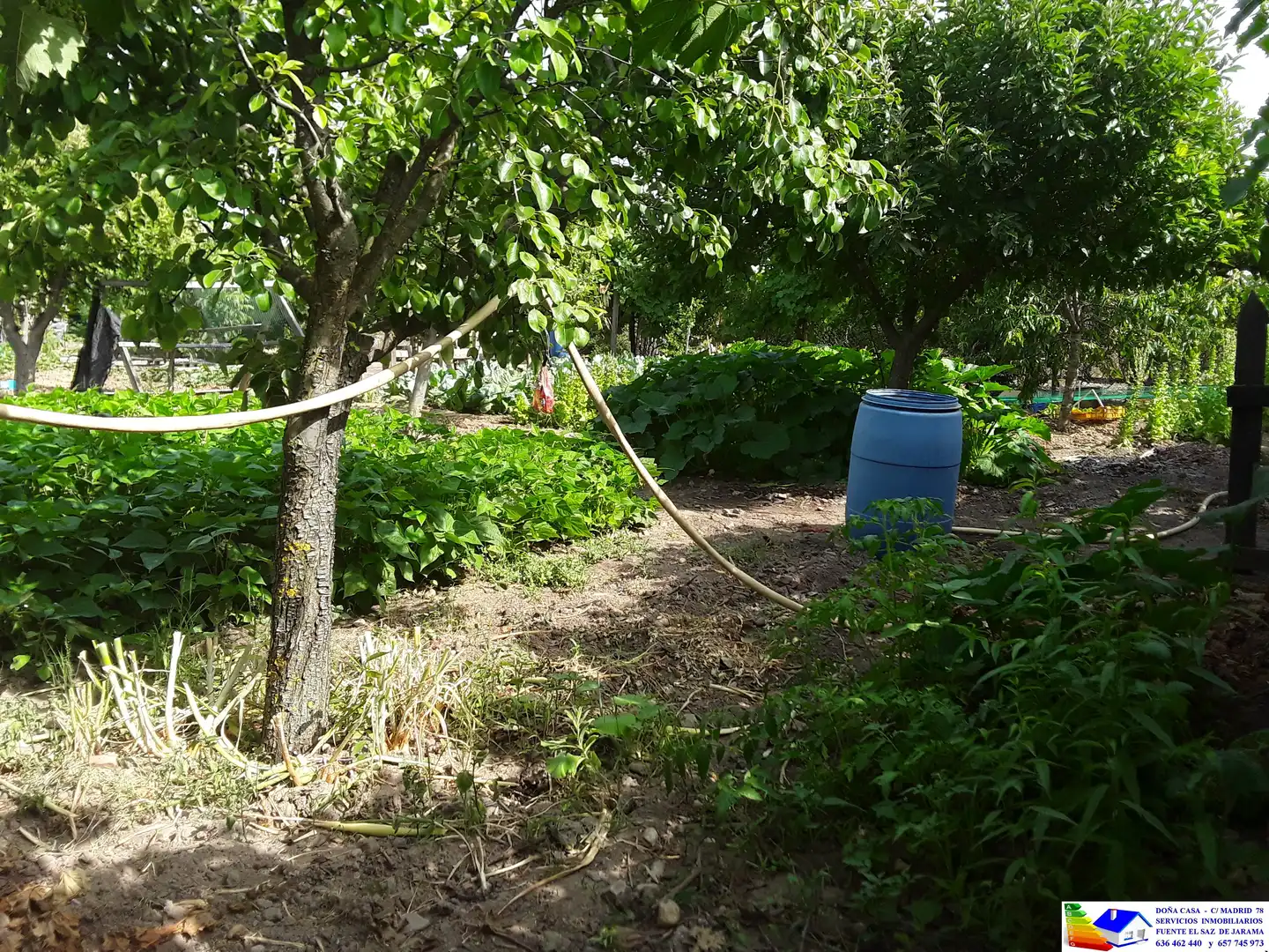 Jardín de Casa o chalet en venta en Fuente El Saz de Jarama con Aire acondicionado, Calefacción y Jardín privado