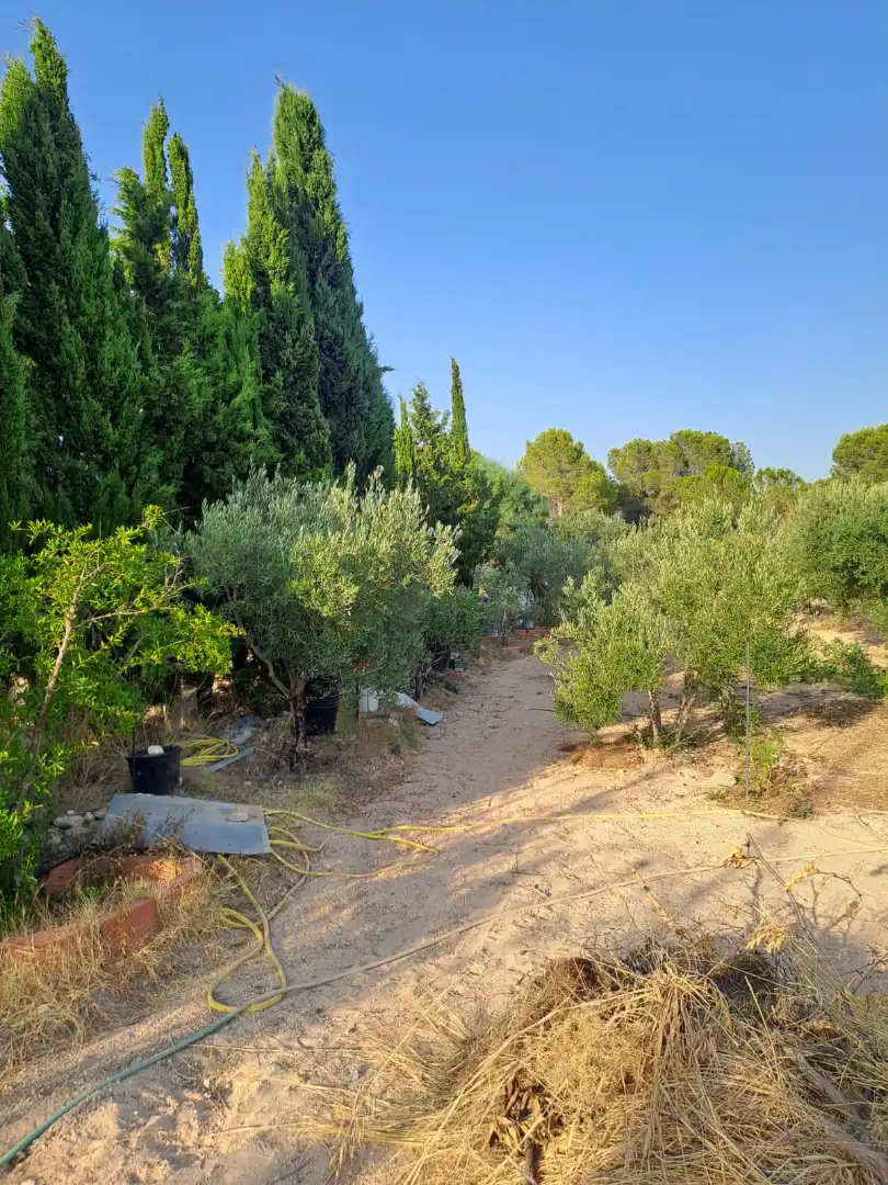 Villa avec terrasse à vendre à Camino de la Caseta Bravo, imagen 31