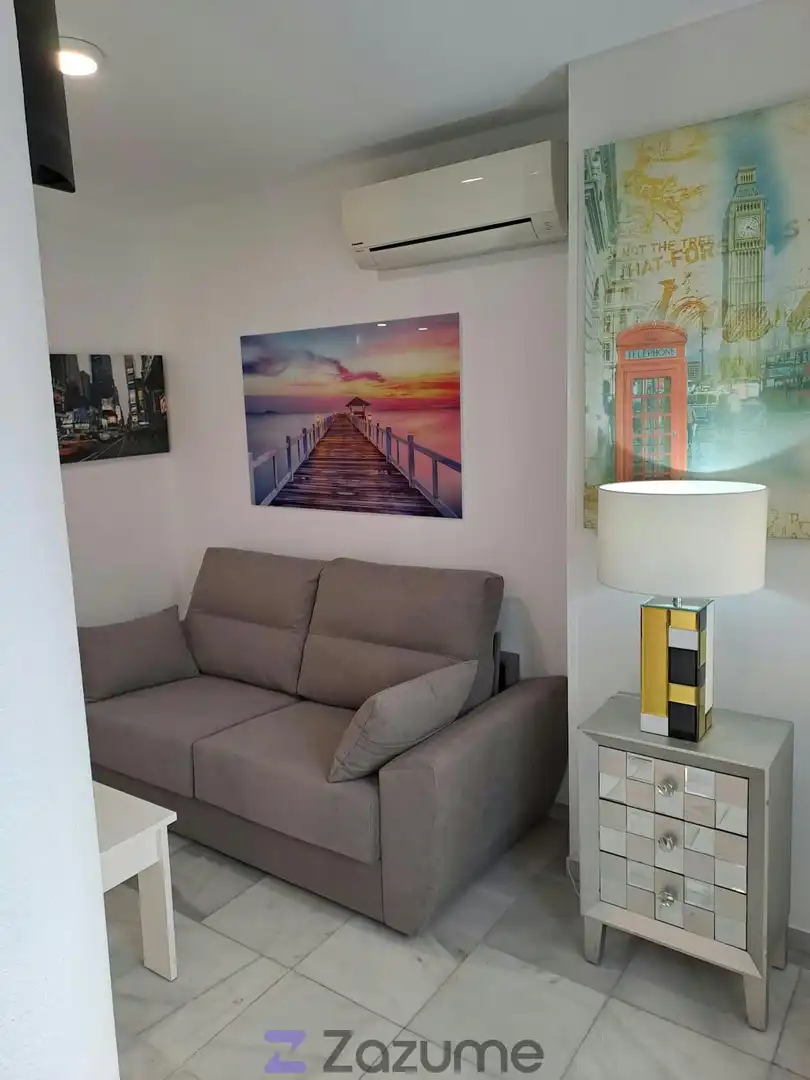 Sala d'estar de Estudi de lloguer en San Luis de Sabinillas